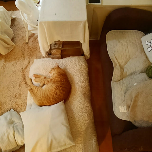 mayutan.さんの実例写真