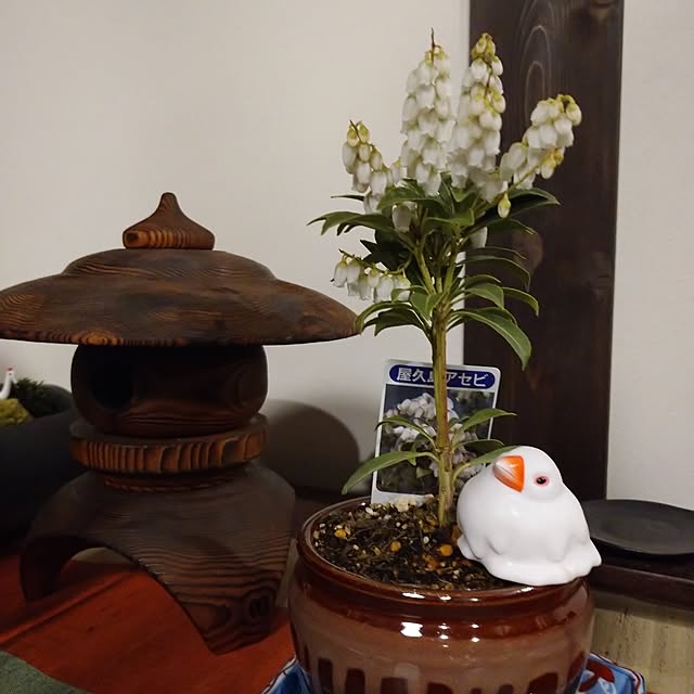 5160ksさんの部屋