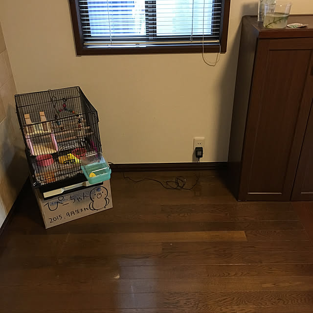 momomamaさんの実例写真