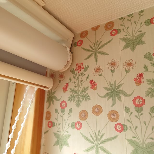 Pikakeさんの部屋