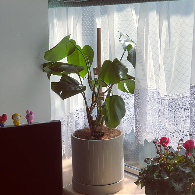 rromomo1さんの実例写真