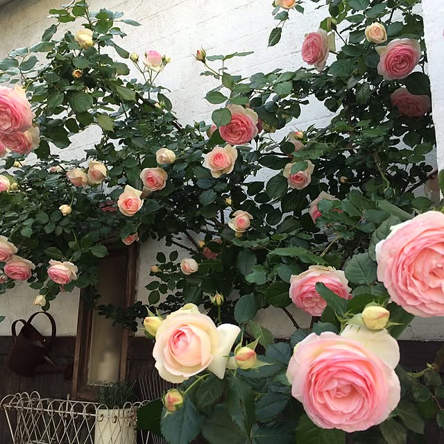 yukoさんの実例写真