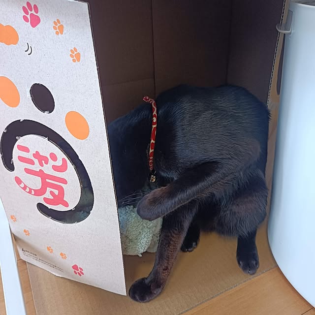 anayoikoさんの実例写真