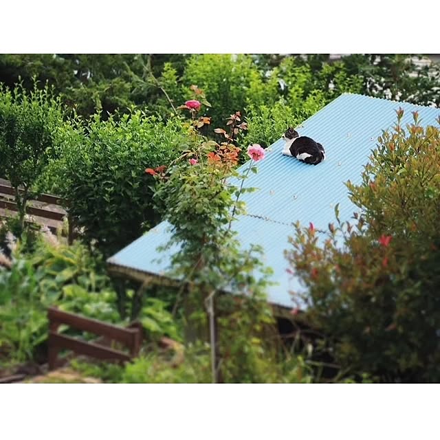 yukiさんの実例写真