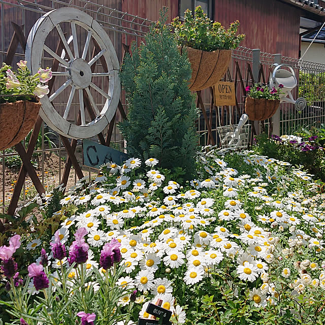 yellowflowerさんの実例写真