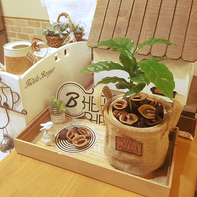 norikoko310さんの実例写真