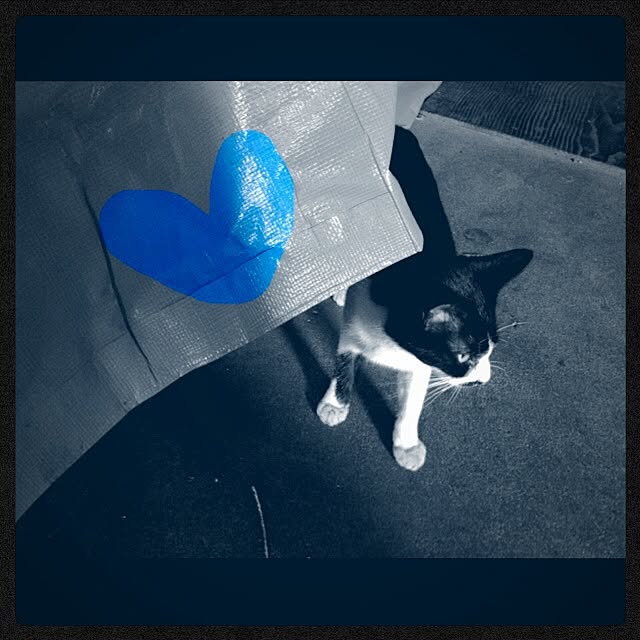 myさんの実例写真