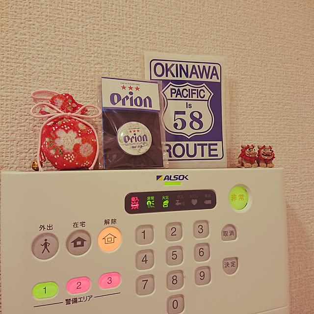 aozoraさんの実例写真