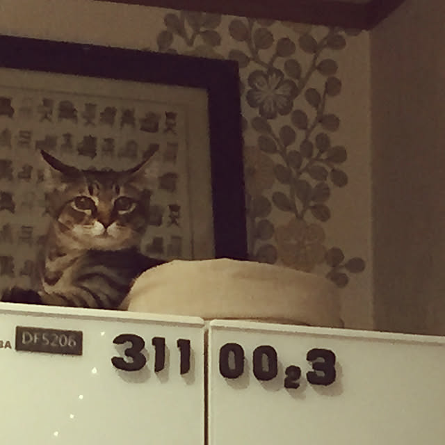 harukaraさんの実例写真