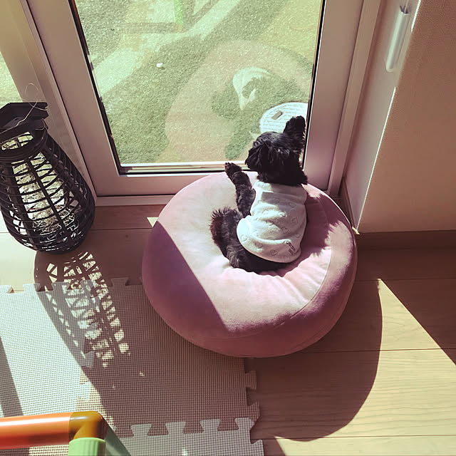 Ayumiさんの実例写真