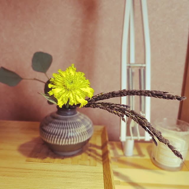 ericomaさんの実例写真