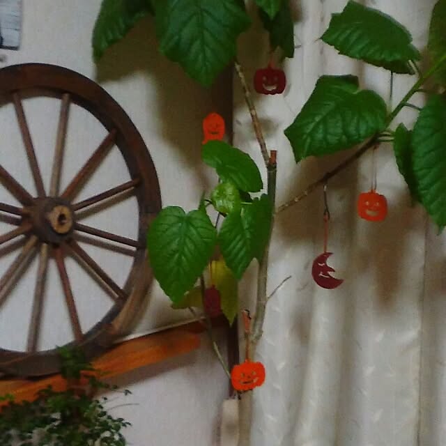 fuuさんの実例写真
