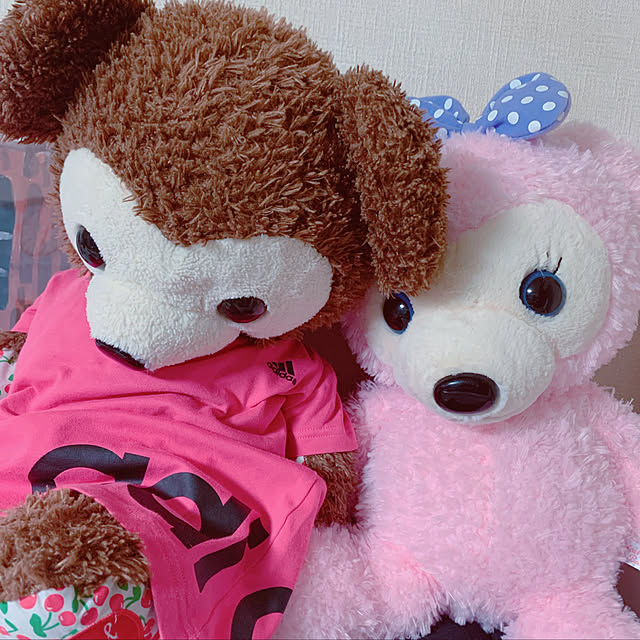 totoさんの実例写真