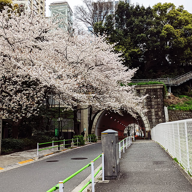 実例写真