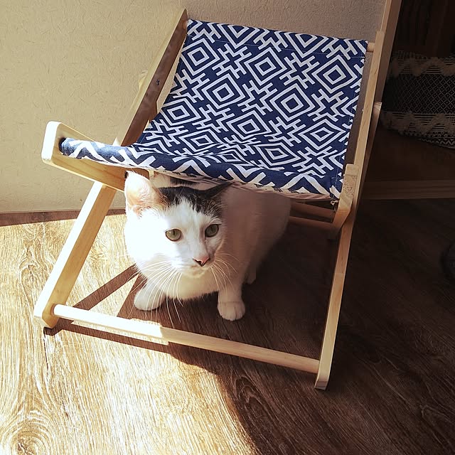 mikisunさんの実例写真