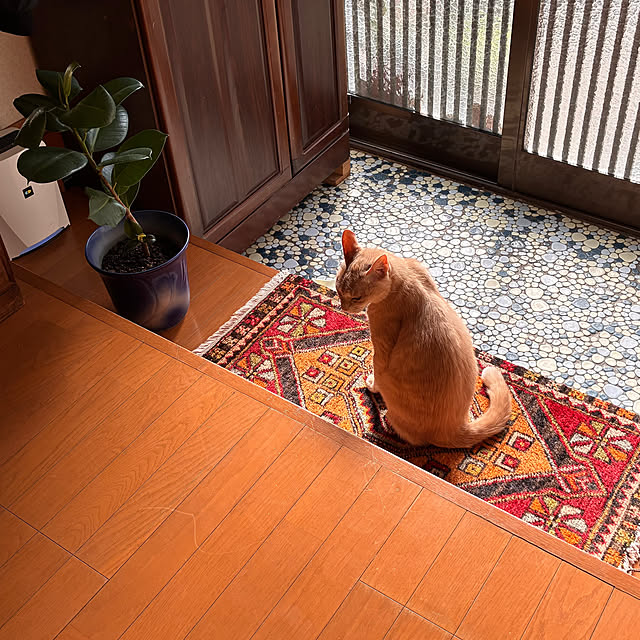 mikan161さんの部屋