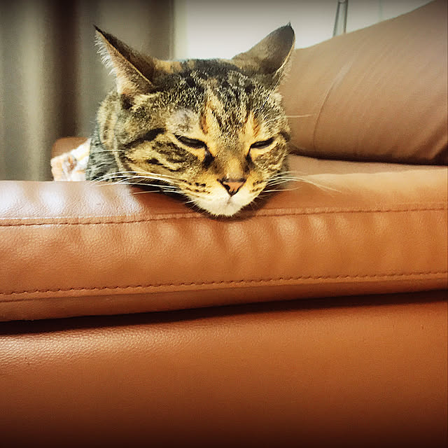 rika.さんの実例写真