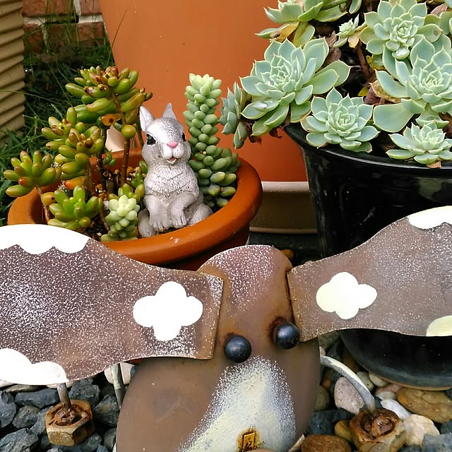 shoko0420さんの実例写真