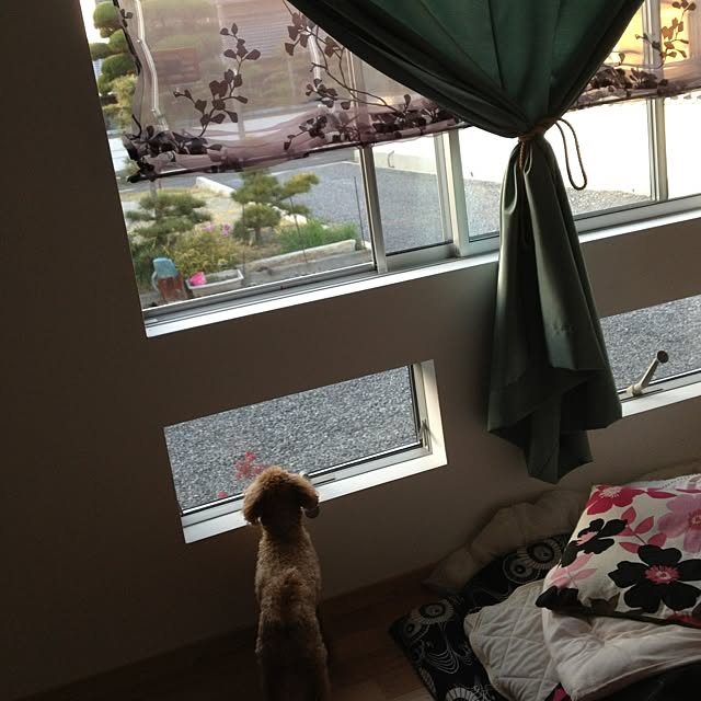 kemukujyaraさんの実例写真