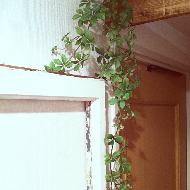 keitanさんの実例写真