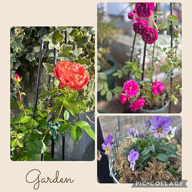 CoCo0617さんの部屋