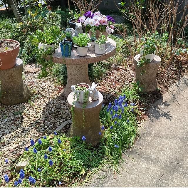 ku-garnet18さんの部屋