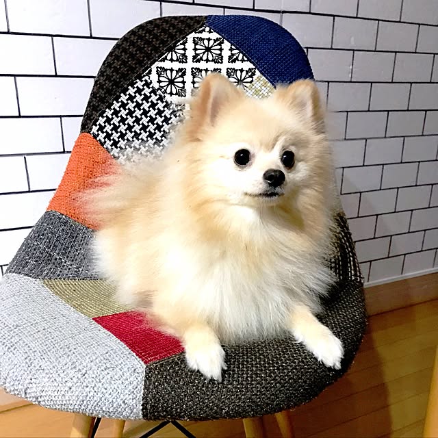 franさんの実例写真