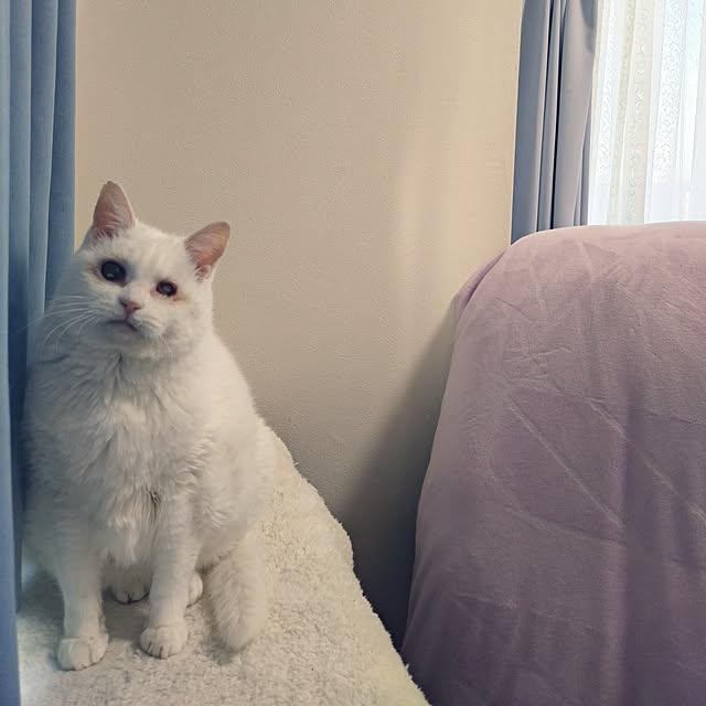 NOAHさんの部屋