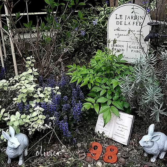 olivierさんの実例写真
