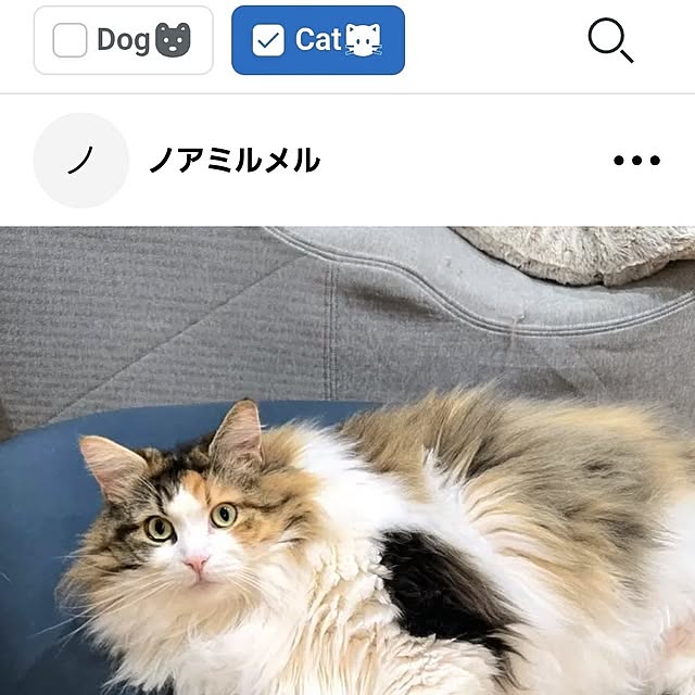 akiko6193さんの部屋