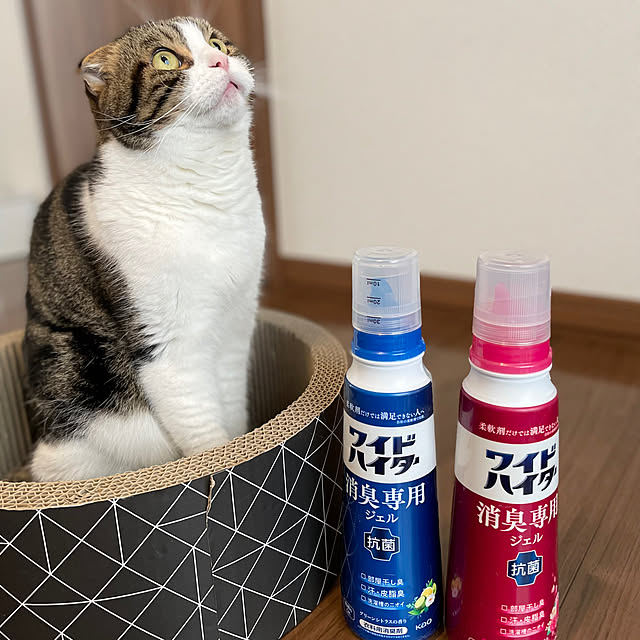 tansukeさんの実例写真