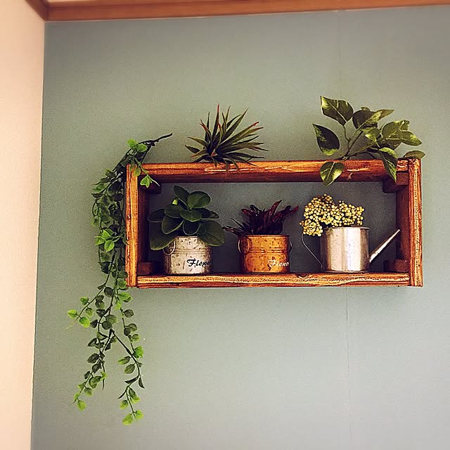棚/DIY/ダイソー/観葉植物のインテリア実例 - 2017-03-06 07:59:08