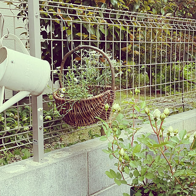 sariさんの実例写真