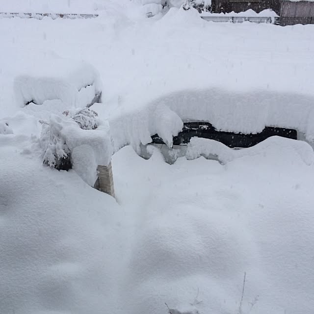 waoさんの実例写真