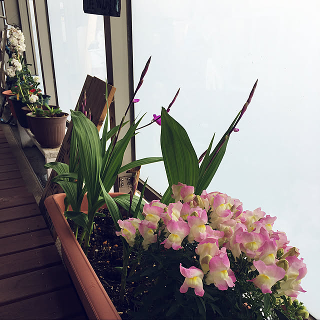 0415さんの実例写真