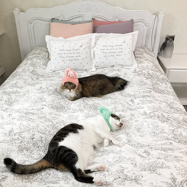 yuchiさんの実例写真