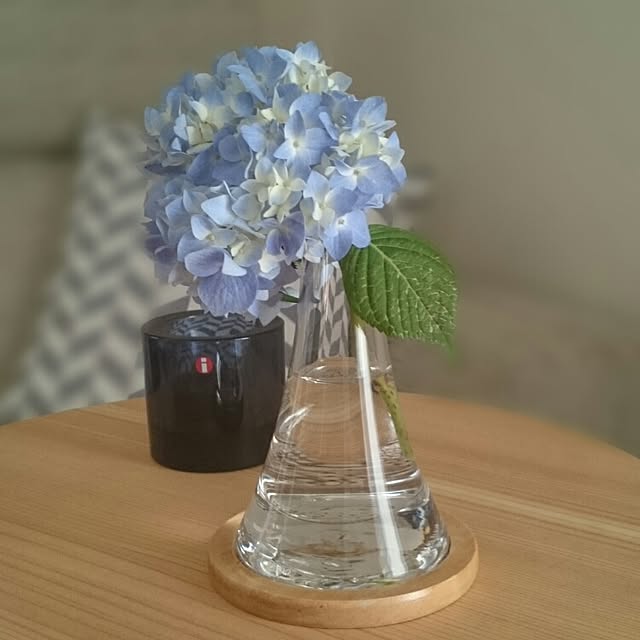 chinonさんの実例写真
