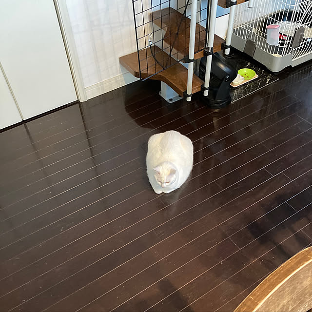 akuakuさんの実例写真