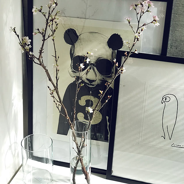 cady_sさんの実例写真