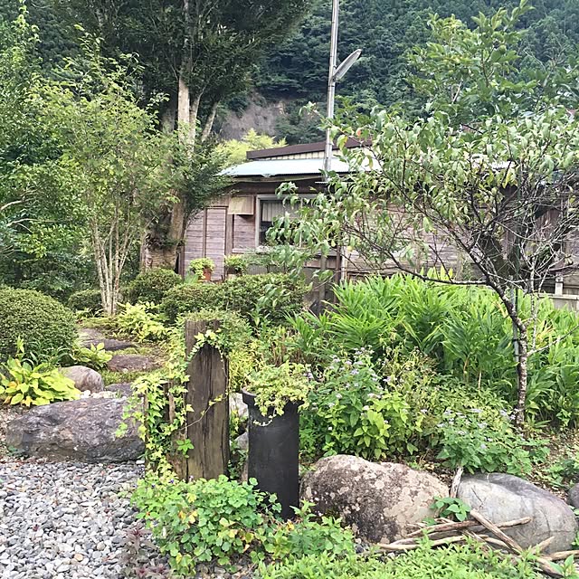harunoさんの実例写真