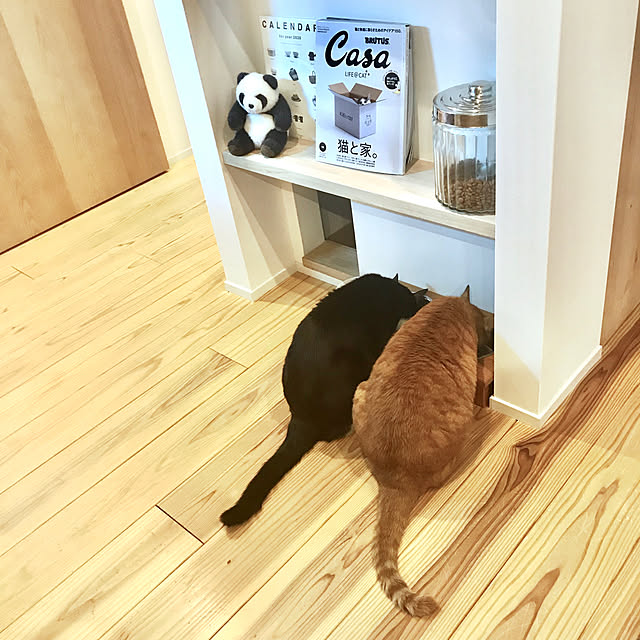 pooさんの実例写真