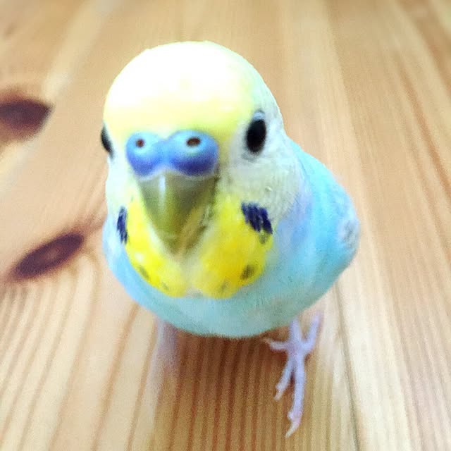 3040さんの実例写真