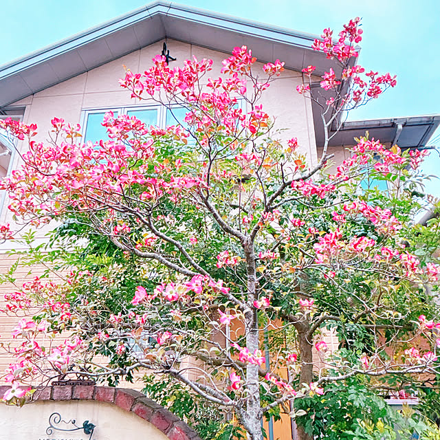 moolさんの実例写真