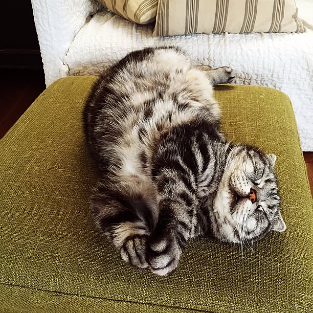 miyukoさんの実例写真