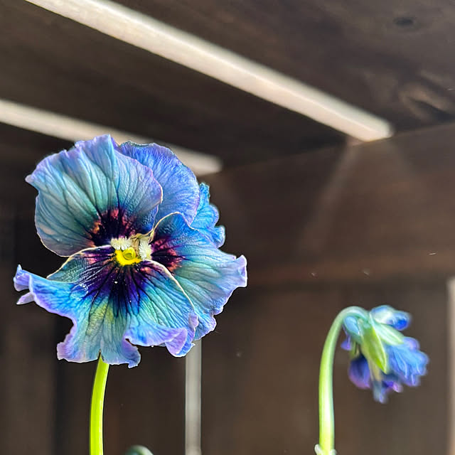 Kuniさんの実例写真