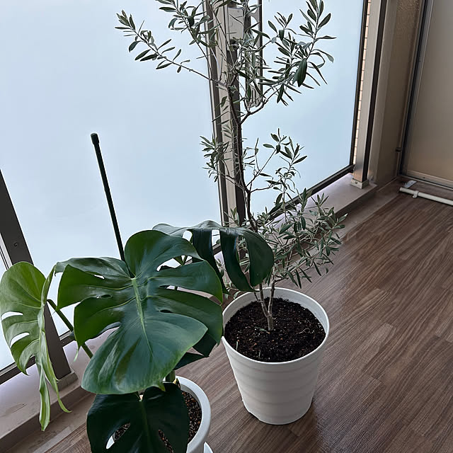 Kikiさんの部屋