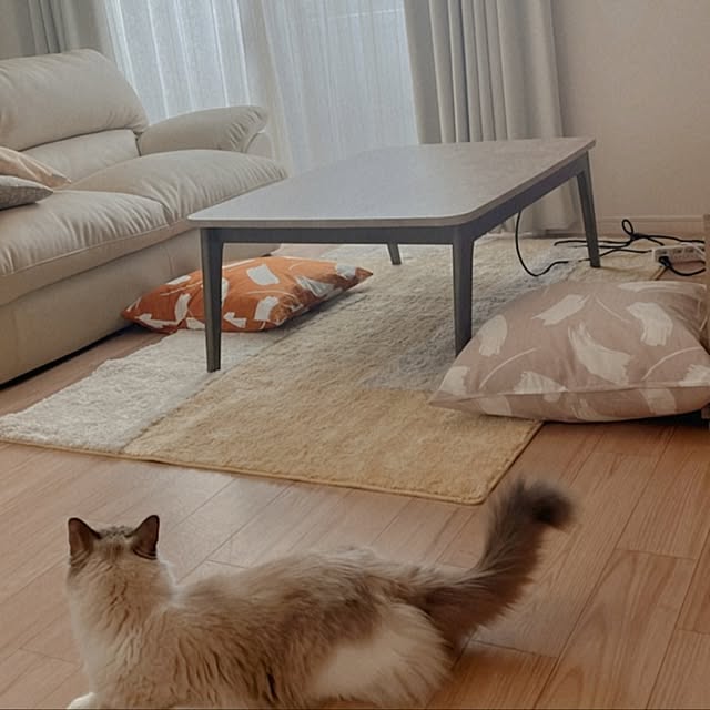 gumiさんの実例写真