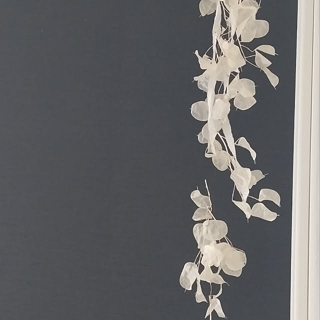 yukotanさんの部屋