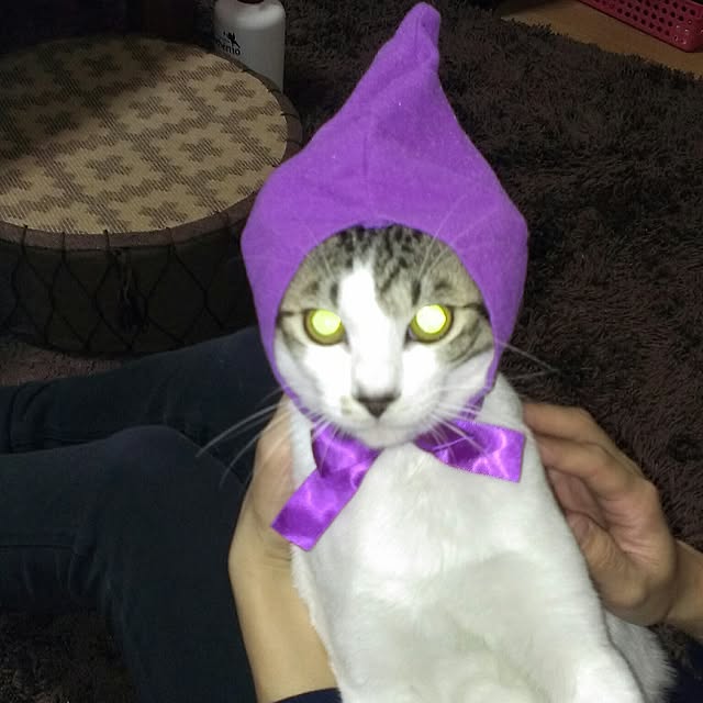 hina0131811さんの実例写真