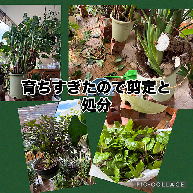 Aqettyさんの部屋